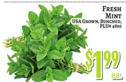Trade Fair Supermarket FRESH MINT offer