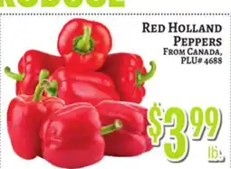 Trade Fair Supermarket Red Holland Peppers offer