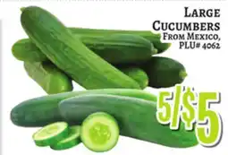 Trade Fair Supermarket LARGE Cucumbers offer
