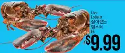 Hmart Live Lobster offer