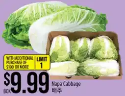 Hmart Napa Cabbage offer