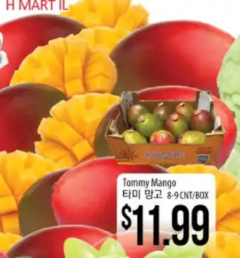 Hmart Tommy Mango offer