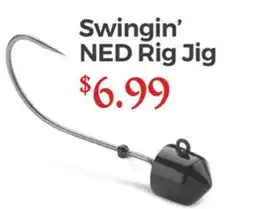 Dunham's Sports SWINGIN' NED RIG JIG offer