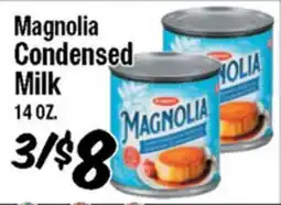 Western Beef Magnolia Condensed Milk offer
