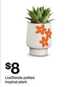 Target LiveTrends potted tropical plant offer