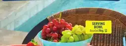 Dollar General SERVING BOWL offer