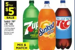 Dollar General Pepsi , Mountain Dew , Crush , Mug , Starry or Schweppes offer