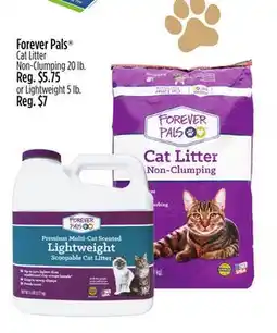Dollar General Forever Pals Cat Litter Non-Clumping offer