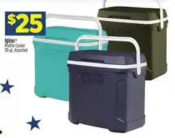 Dollar General Igloo Profile Cooler offer