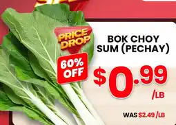 Seafood City Bok choy sum pechay offer