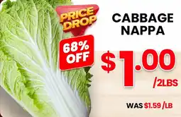 Seafood City Cabbage nappa offer