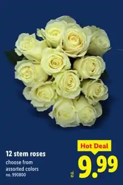 Lidl 12 stem roses offer