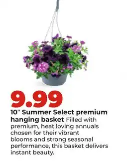 Hy-Vee 10 Summer Select premium hanging basket offer