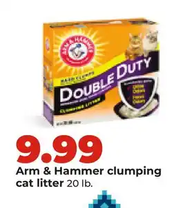 Hy-Vee Arm & Hammer clumping cat litter offer