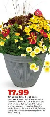 Hy-Vee 12 Some Like It Hot patio planter offer