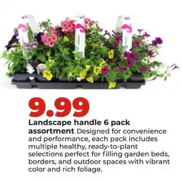 Hy-Vee Landscape handle 6 pack assortment offer