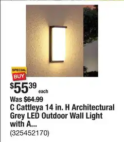 The Home Depot C Cattleya 14 in. H Architectural Grey LED Outdoor Wall Light with Acrylic Shade offer