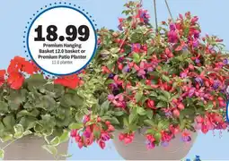 Meijer Premium Hanging Basket or Premium Patio Planter offer