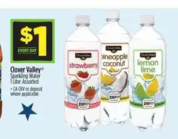 Dollar General Clover Valley Sparkling Water offer