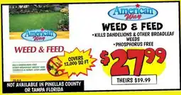 Ollie's American Way WEED & FEED offer