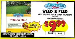 Ollie's American Way WEED & FEED offer