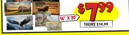 Ollie's 16 X 20 PATRIOTIC DECOR offer