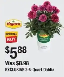 The Home Depot Exclusive 2.6-quart dahlia offer