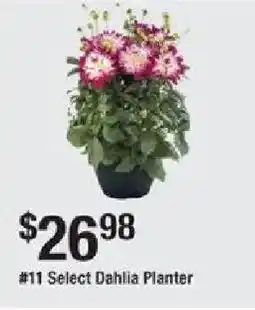 The Home Depot Select Dahlia Planter offer