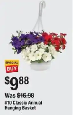 #10 Classic Annual Hanging Basket
