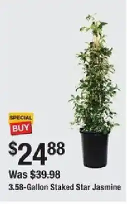 The Home Depot 3.58-Gallon Staked Star Jasmine offer