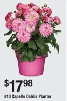 The Home Depot #10 Capello Dahlia Planter offer