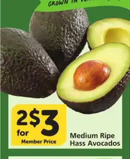 Albertsons Medium Ripe Hass Avocados offer
