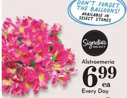 Pavilions Signature SELECT Alstroemeria offer
