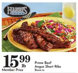 Pavilions Prime Beef Angus Short Ribs offer