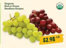 Sprouts Farmers Market Organic Red or Green Seedless Grapes offer