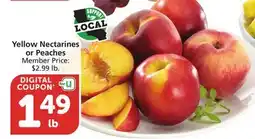 Vons Yellow Nectarines or Peaches offer