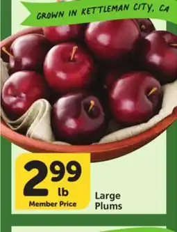 Vons Large Plums offer