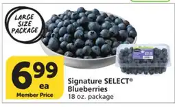 Vons Signature SELECT Blueberries offer