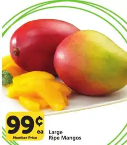 Vons Large Ripe Mangos offer