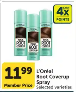 Vons L'Oréal Root Coverup Spray offer