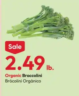Stater Bros Organic Broccolini offer