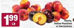 Tony’s Fresh Market Plums, Yellow Peaches or Nectarines offer