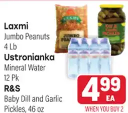 Tony’s Fresh Market Laxmi Jumbo Peanuts 4 Lb Ustronianka Mineral Water 12 Pk R&S Baby Dill and Garlic Pickles, 46 oz offer