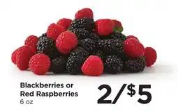 Food 4 Less Blackberries or Red Raspberries offer