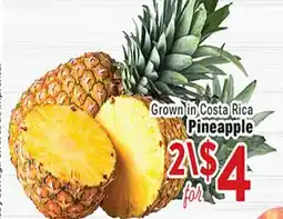 Rio Valley Market Pineapple offer