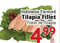 Rio Valley Market Filete de Tilapia offer