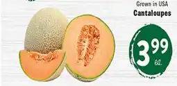 Rio Valley Market Cantaloupes offer