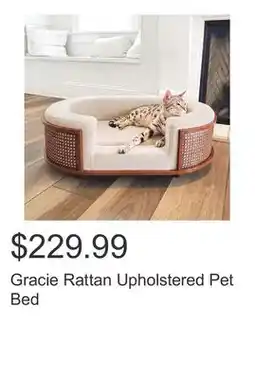 Costco Gracie Rattan Upholstered Pet Bed offer