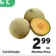 Safeway Cantaloupe offer