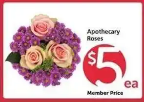 Safeway Apothecary Roses offer